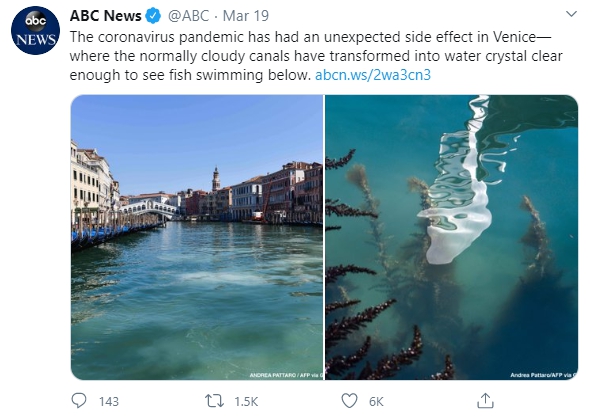 effect in Venice